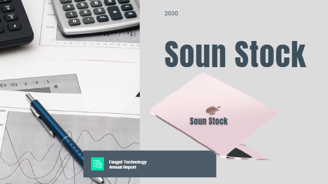 Soun Stock